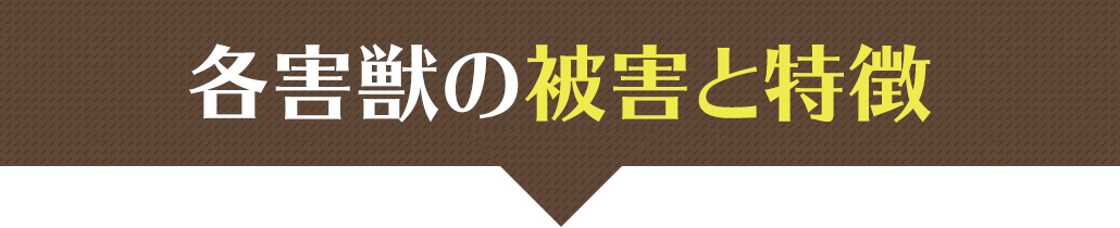 各害獣の被害と特徴